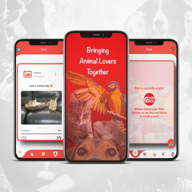 Animal lover App first page and other pages on different mobile screen