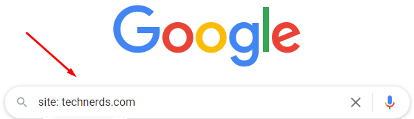 Google-Search-with-technerds-URL-written-in-search-bar