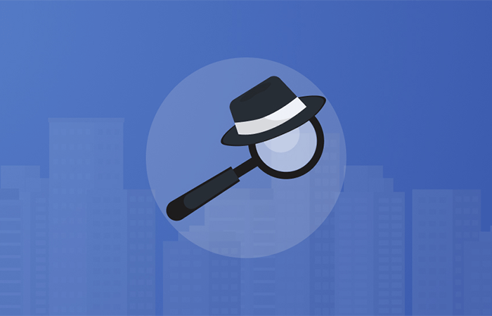 magnifying glass Icon