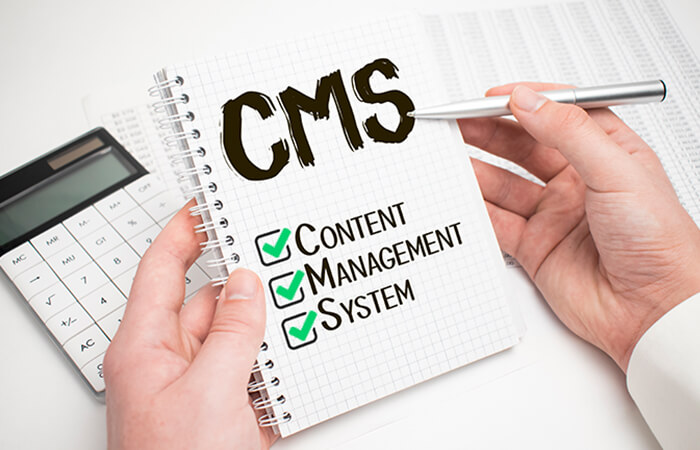 CMS-written-on-a-paper-different-types-of-website-design