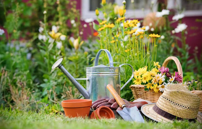 A-range-of-gardening-equipment-in-a-garden